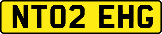 NT02EHG