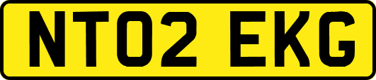 NT02EKG
