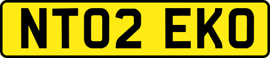 NT02EKO