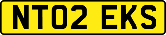 NT02EKS