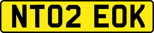 NT02EOK