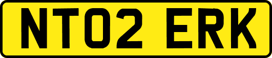 NT02ERK