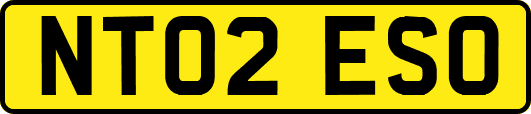 NT02ESO