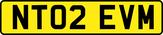 NT02EVM