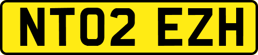 NT02EZH