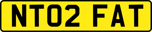 NT02FAT