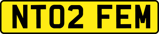 NT02FEM