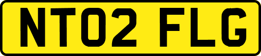 NT02FLG