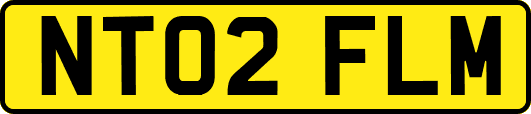 NT02FLM