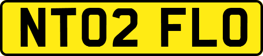 NT02FLO