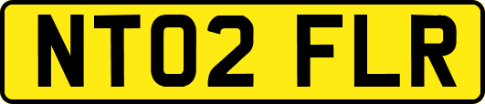 NT02FLR