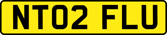NT02FLU
