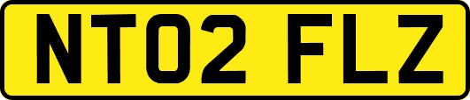 NT02FLZ