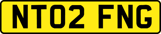 NT02FNG