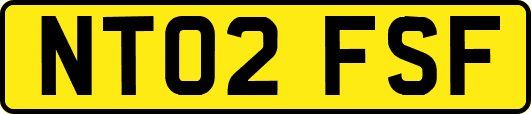 NT02FSF