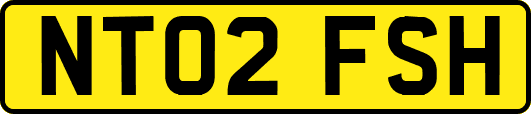 NT02FSH