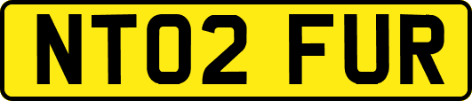 NT02FUR