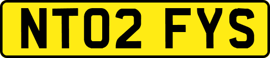 NT02FYS