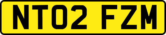 NT02FZM