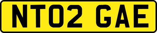 NT02GAE