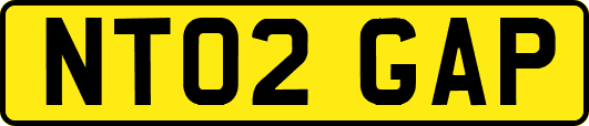NT02GAP