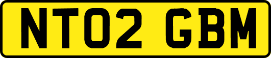 NT02GBM