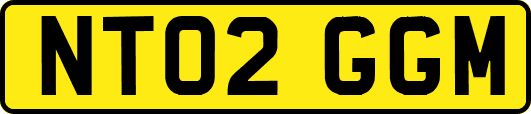 NT02GGM