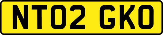 NT02GKO