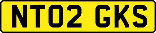 NT02GKS