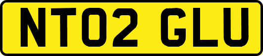 NT02GLU