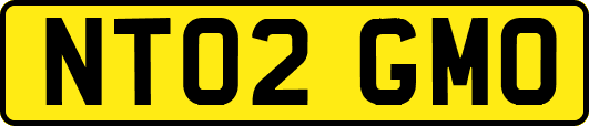 NT02GMO