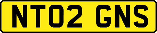 NT02GNS