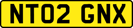 NT02GNX