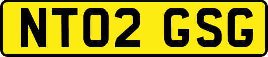 NT02GSG