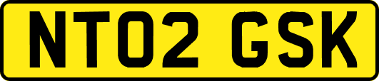 NT02GSK