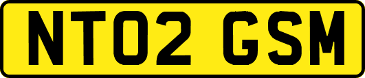 NT02GSM