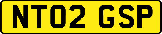 NT02GSP