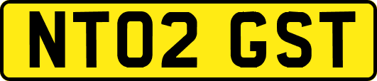 NT02GST