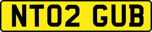NT02GUB