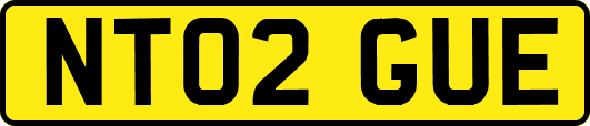NT02GUE