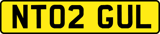 NT02GUL