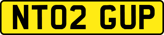 NT02GUP