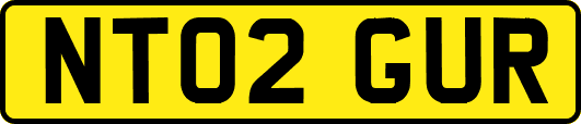 NT02GUR