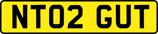 NT02GUT