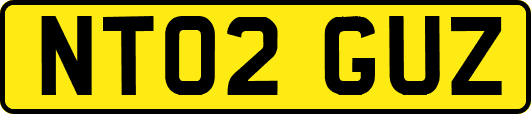 NT02GUZ