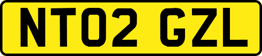 NT02GZL