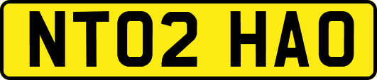 NT02HAO
