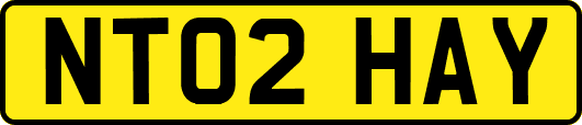 NT02HAY