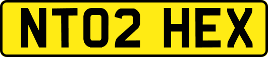 NT02HEX