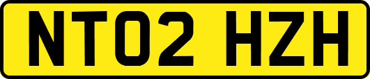 NT02HZH